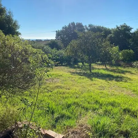 Maison Avec Un Grand Jardin Proche San-Nicolao